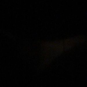 Meet your Posher, Mickey